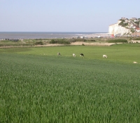 dscn0593