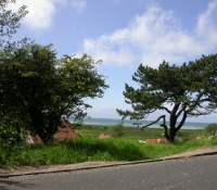 dscn0671